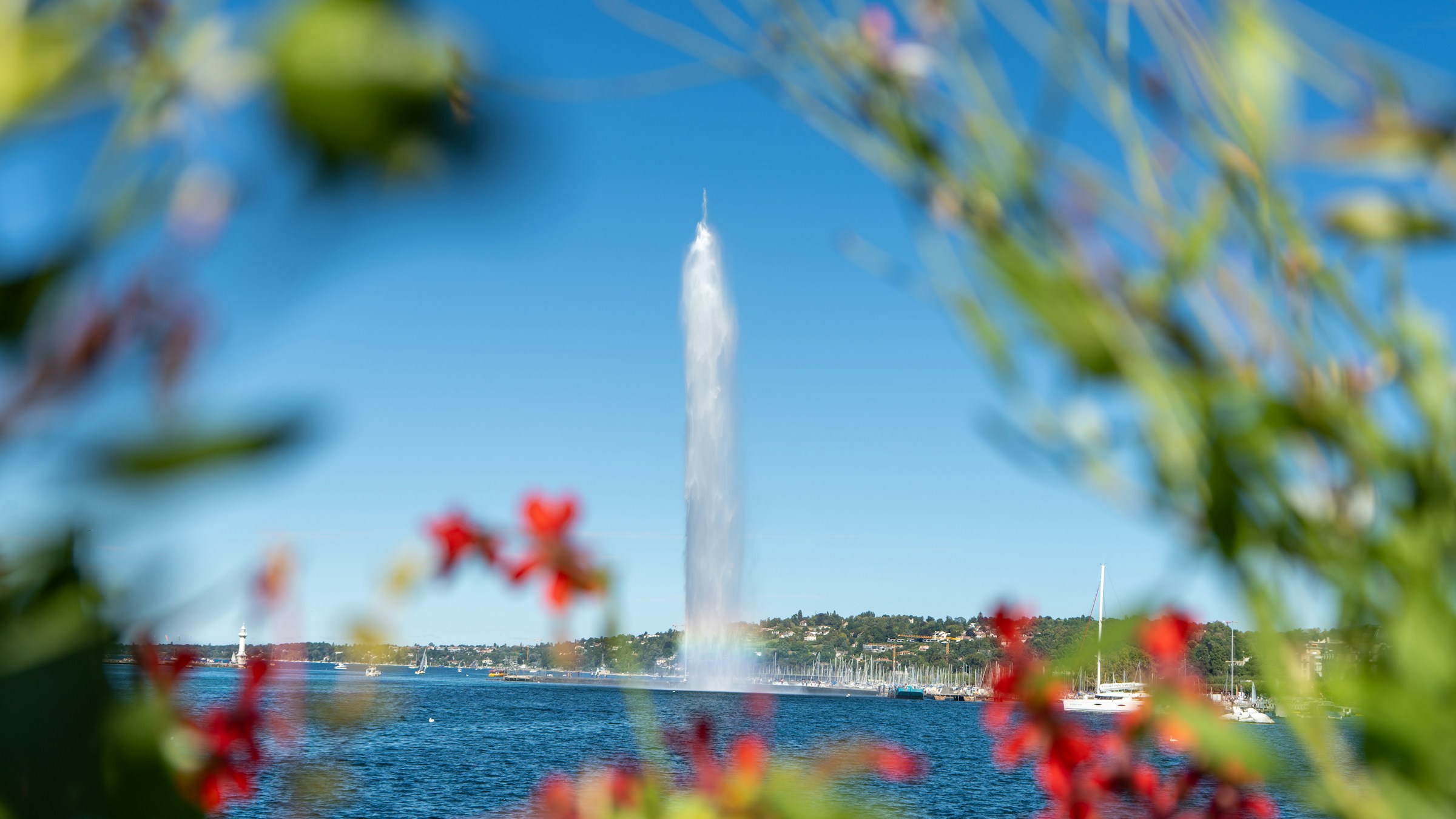 Geneva: Lake Geneva with the Jet d'Eau and sailboats.